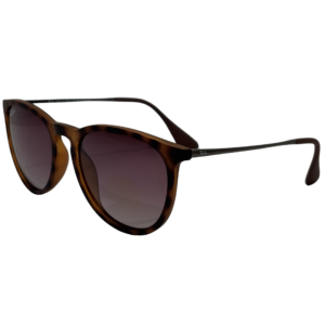 RAY-BAN ERIKA RB4171 Detalle
