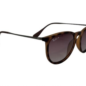 RAY-BAN Erika Rb4171 Detalle